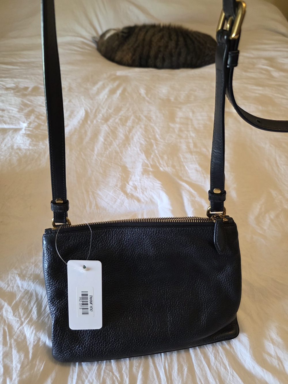 Prada  Pebbled Leather Crossbody Bag  Little Bit Fade Inside W/ 3 Compartment - Picture 4 of 13